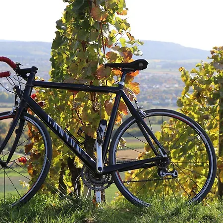 Hotel Western Würzburg-süd 3*