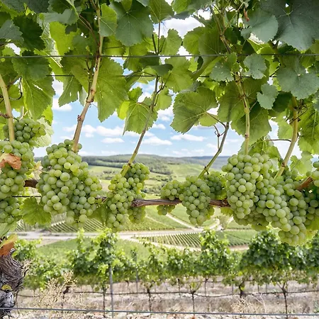 Western Wuerzburg-sued 酒店 维尔茨堡